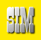 Sim City 2000