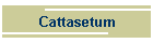 Cattasetum