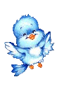 birdie