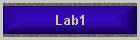 Lab1