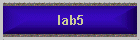 lab5