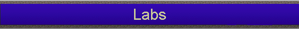 Labs