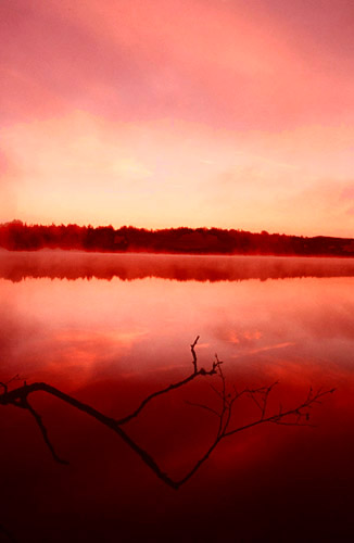 Lake Bathurst - early morning