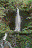 Dickson's Falls