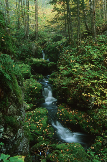 waterfalls