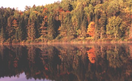 Lake Bathurst