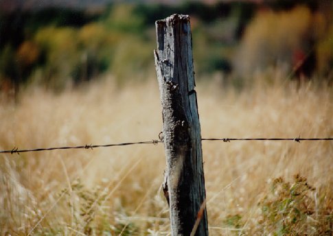 fence post