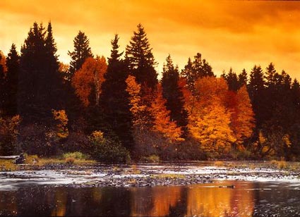 Richibucto River