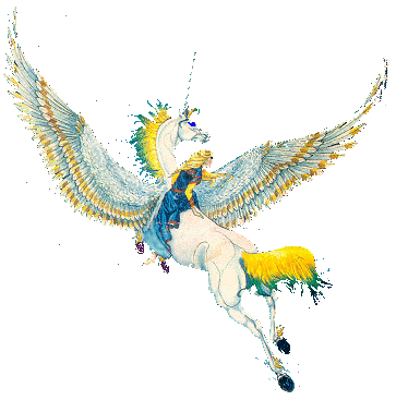 Flying On A Unisus