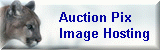 auctionpix