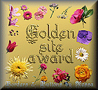 gold award