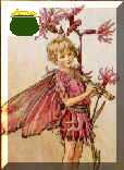 Found Fairy