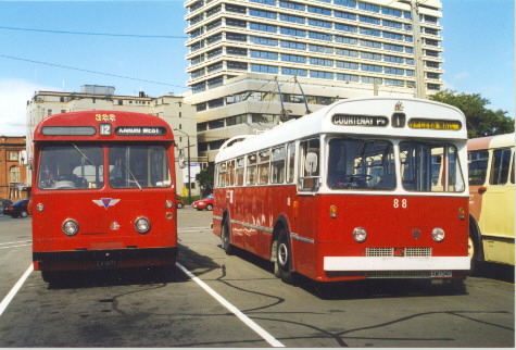 Wellington 88