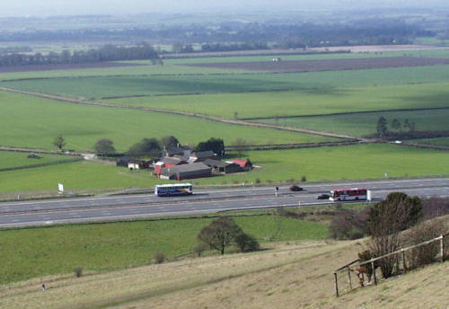 M40jc6two.jpg (28828 bytes)