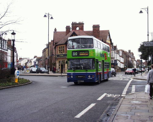 ox228on300div.jpg (36347 bytes)