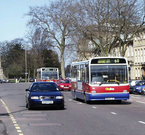 ox514R60.jpg (56915 bytes)