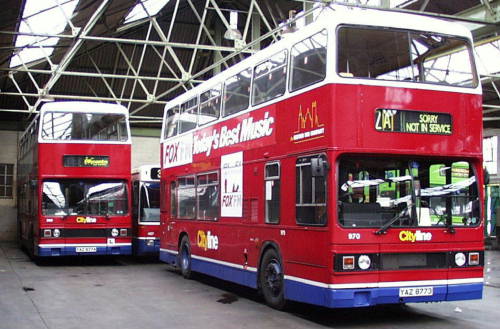 ox970n966YAZ.jpg (46003 bytes)