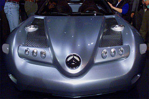 photo L_coupenose200b.jpg  23KB