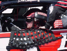 Dale Earnhardt Flag