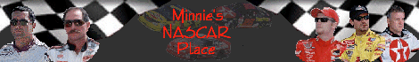 MINNIES BANNER