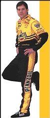 Dale Earnhardt Flag