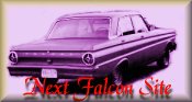 Next Falcon Site
