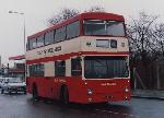 DMS 768