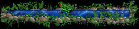 frog