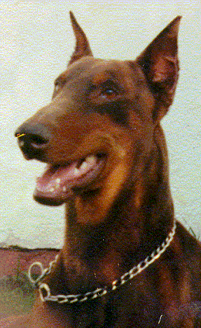 El Gran Fhrer.