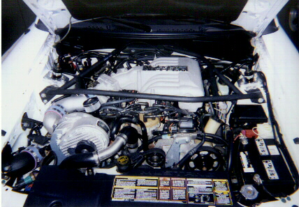 Mikemiller1.jpg (175907 bytes)