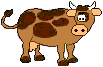 cow