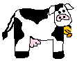 cow