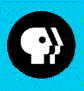PBS TELEVISION NETWORK