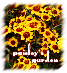 Welcome to Paisley's Garden!                  This image and photo Copyright ©1999 Paisley