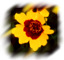 flower 1