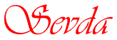 Sevda - animated logo