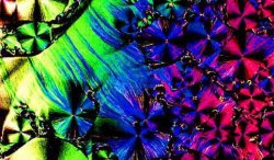 Pulsa sobre la fotograf�a para verla a mayor tama�o