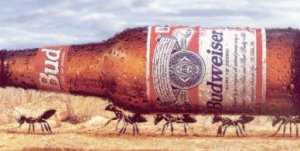 Pulsa sobre la fotograf�a para verla a mayor tama�o