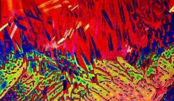 Pulsa sobre la fotograf�a para verla a mayor tama�o