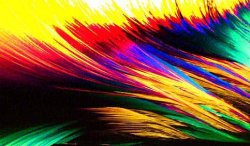 Pulsa sobre la fotograf�a para verla a mayor tama�o