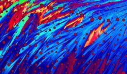 Pulsa sobre la fotograf�a para verla a mayor tama�o