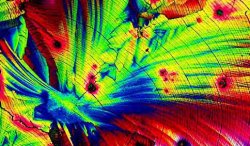 Pulsa sobre la fotograf�a para verla a mayor tama�o