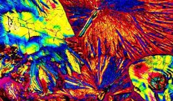 Pulsa sobre la fotograf�a para verla a mayor tama�o