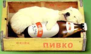 Pulsa sobre la fotograf�a para verla a mayor tama�o