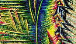 Pulsa sobre la fotograf�a para verla a mayor tama�o