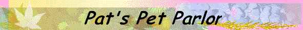 banner.gif (15838 bytes)
