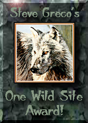 Wild Life Art
