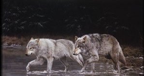 wolves