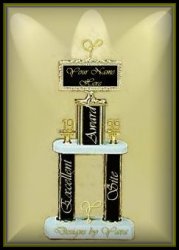 Gold Award