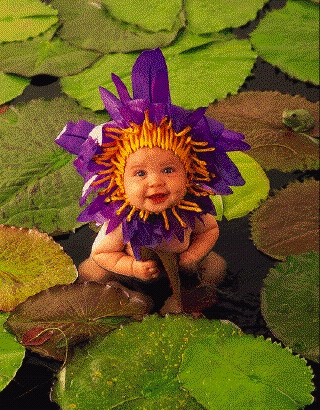 Baby Violet